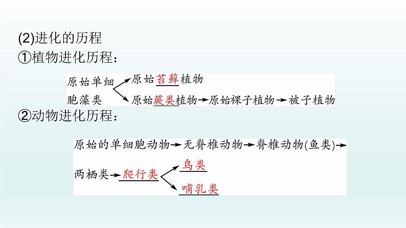 初中生物中考复习 第21课 2021届中考复习生物课件05