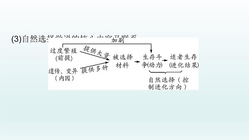 初中生物中考复习 第21课 2021届中考复习生物课件08