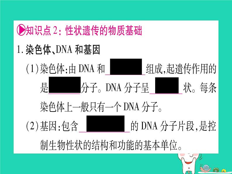 初中生物中考复习 中考生物总复习八上第6单元第20章生物的遗传和变异课件第5页