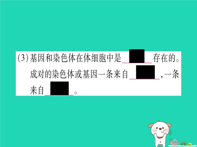 初中生物中考复习 中考生物总复习八上第6单元第20章生物的遗传和变异课件第6页