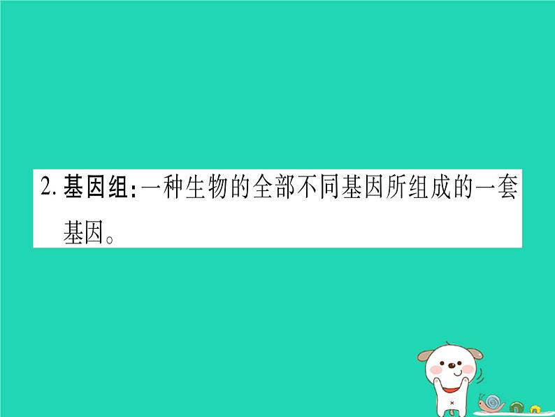 初中生物中考复习 中考生物总复习八上第6单元第20章生物的遗传和变异课件第8页