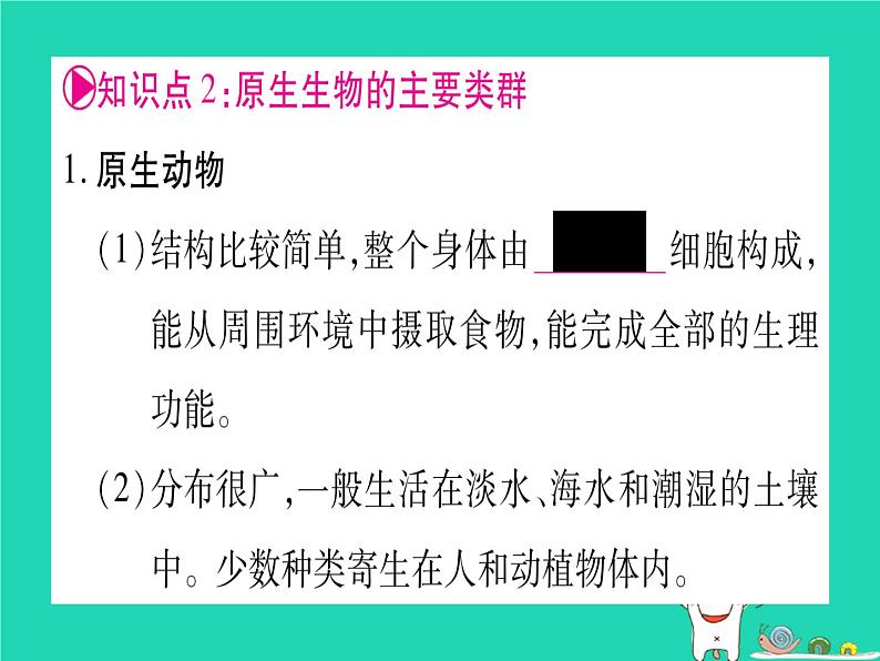 初中生物中考复习 中考生物总复习八下第7单元第22章物种的多样性课件07