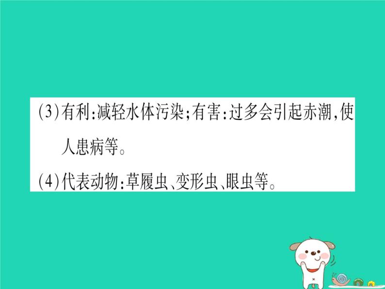 初中生物中考复习 中考生物总复习八下第7单元第22章物种的多样性课件08