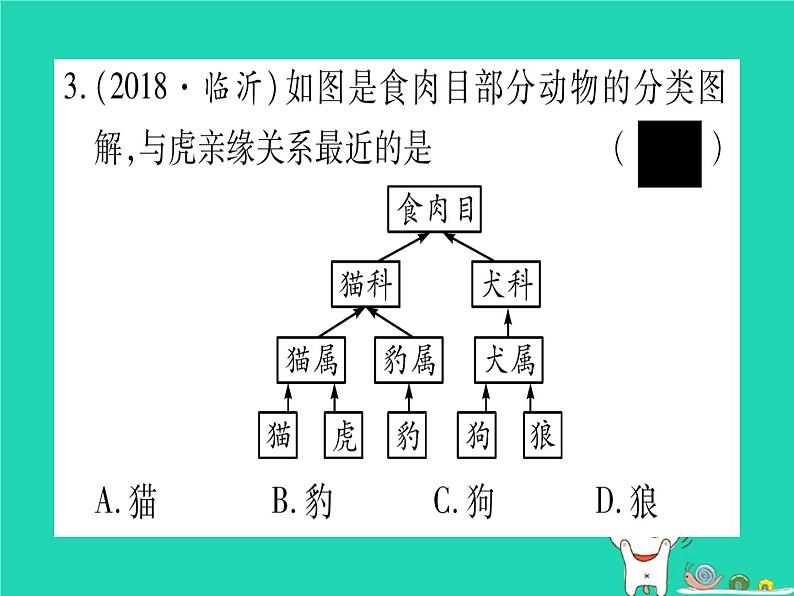 初中生物中考复习 中考生物总复习八下第7单元第22章物种的多样性习题课件第4页