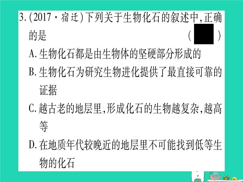 初中生物中考复习 中考生物总复习八下第7单元第21章生命的发生和发展习题课件第4页