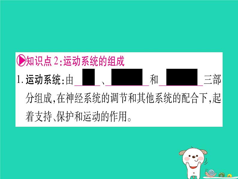 初中生物中考复习 中考生物总复习八上第5单元第15章动物的运动课件第4页