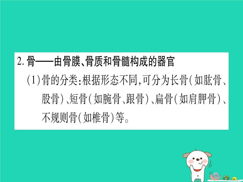 初中生物中考复习 中考生物总复习八上第5单元第15章动物的运动课件第5页