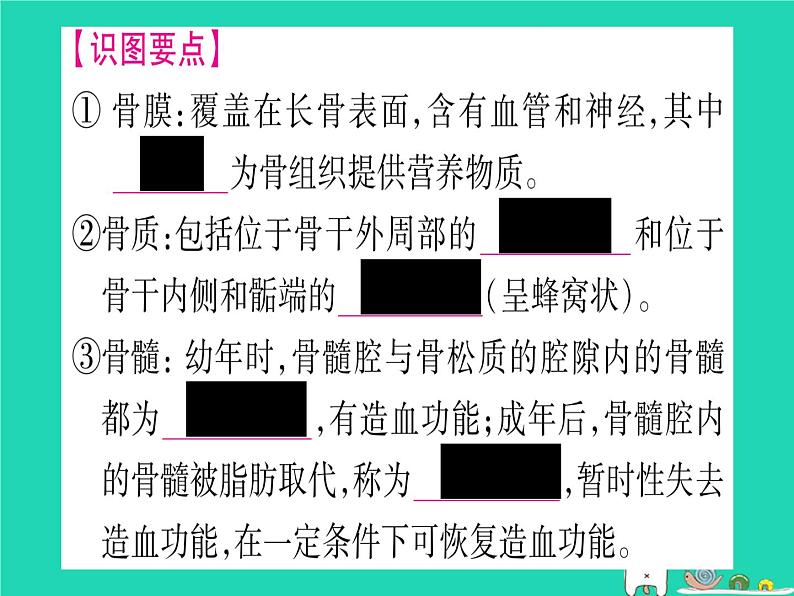 初中生物中考复习 中考生物总复习八上第5单元第15章动物的运动课件第7页