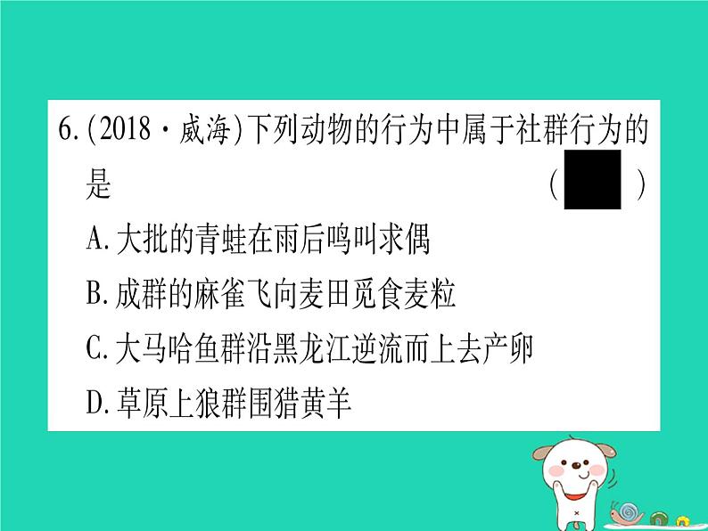 初中生物中考复习 中考生物总复习八上第5单元第16章动物的行为习题课件07