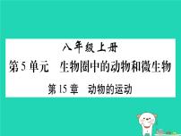 初中生物中考复习 中考生物总复习八上第5单元第15章动物的运动习题课件