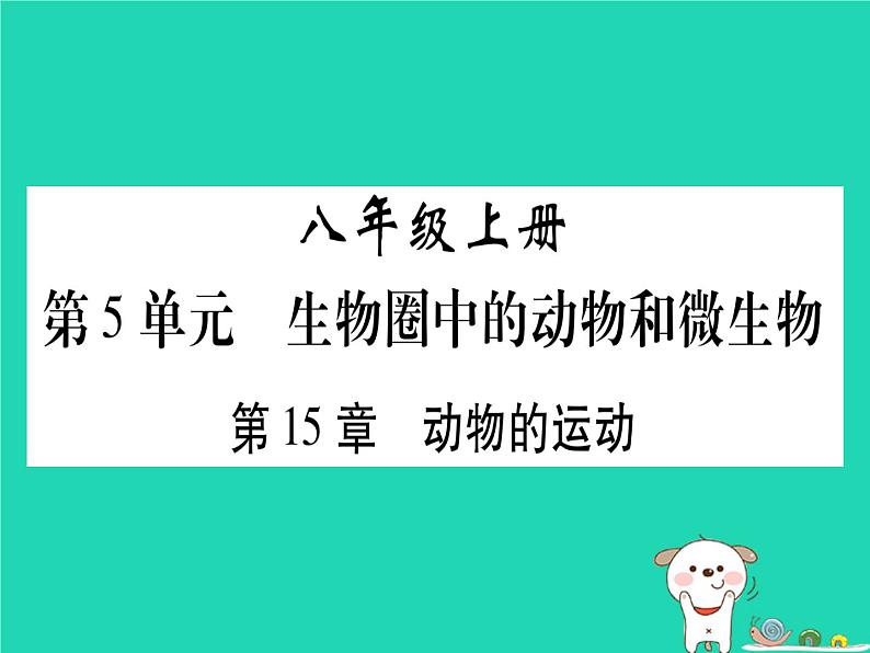 初中生物中考复习 中考生物总复习八上第5单元第15章动物的运动习题课件01