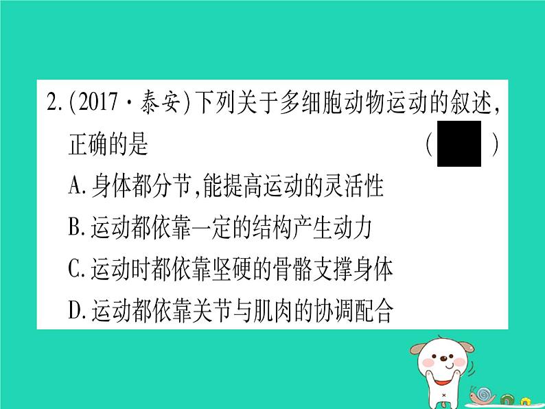 初中生物中考复习 中考生物总复习八上第5单元第15章动物的运动习题课件03