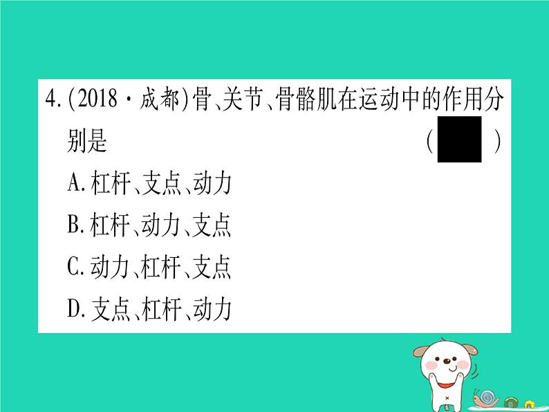 初中生物中考复习 中考生物总复习八上第5单元第15章动物的运动习题课件05