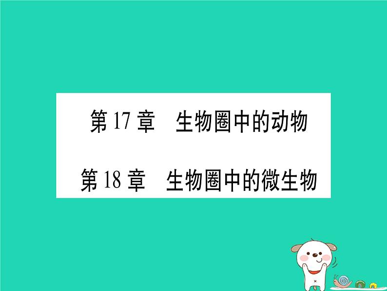 初中生物中考复习 中考生物总复习八上第5单元第17章生物圈中的动物第18章生物圈中的微生物习题课件01