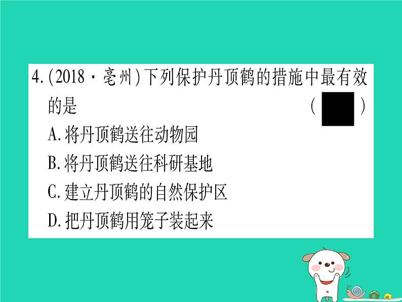 初中生物中考复习 中考生物总复习八上第5单元第17章生物圈中的动物第18章生物圈中的微生物习题课件05
