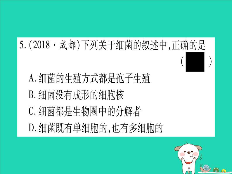 初中生物中考复习 中考生物总复习八上第5单元第17章生物圈中的动物第18章生物圈中的微生物习题课件06