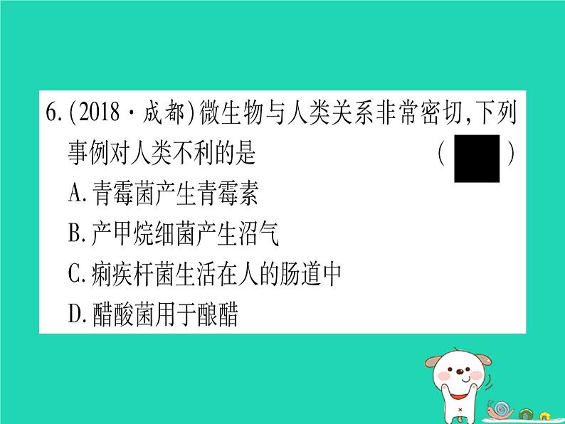 初中生物中考复习 中考生物总复习八上第5单元第17章生物圈中的动物第18章生物圈中的微生物习题课件07