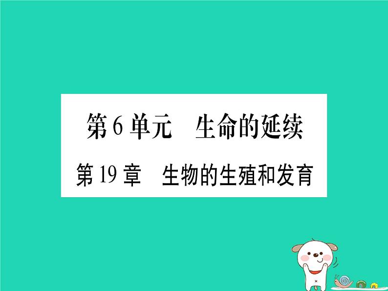 初中生物中考复习 中考生物总复习八上第6单元第19章生物的生殖和发育习题课件第1页