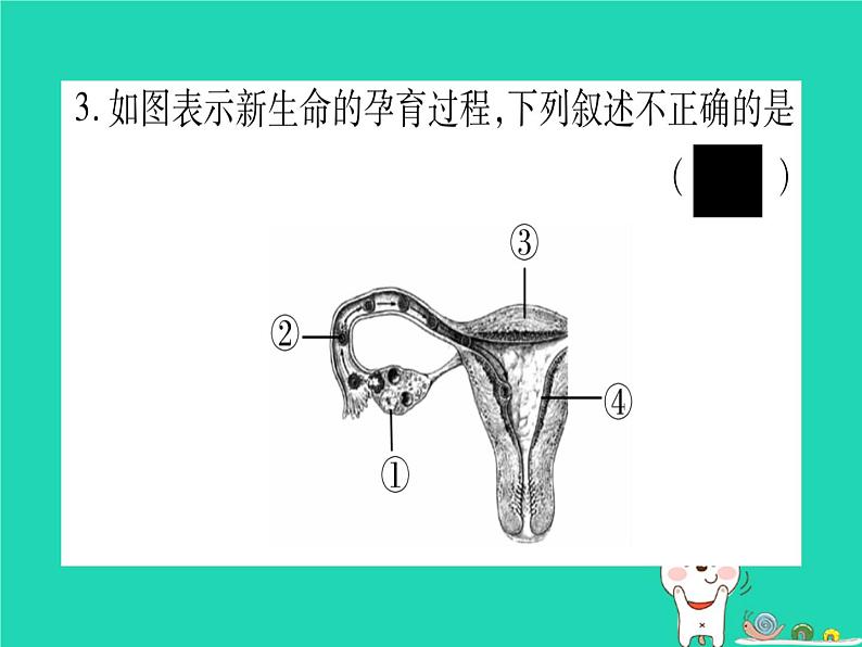 初中生物中考复习 中考生物总复习八上第6单元第19章生物的生殖和发育习题课件第4页