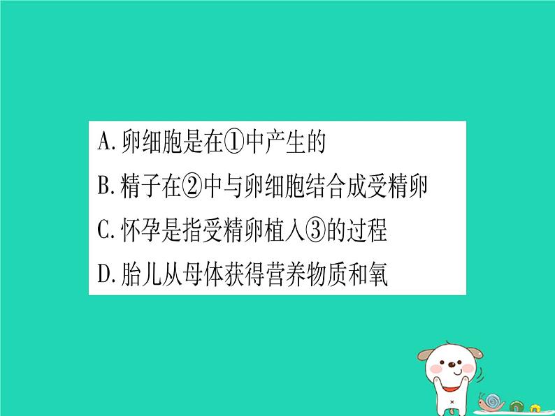 初中生物中考复习 中考生物总复习八上第6单元第19章生物的生殖和发育习题课件第5页