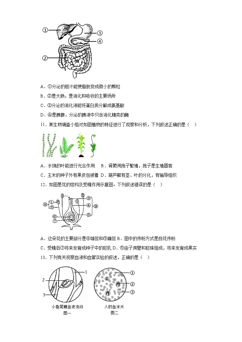 生物（甘肃卷）（考试版）第3页