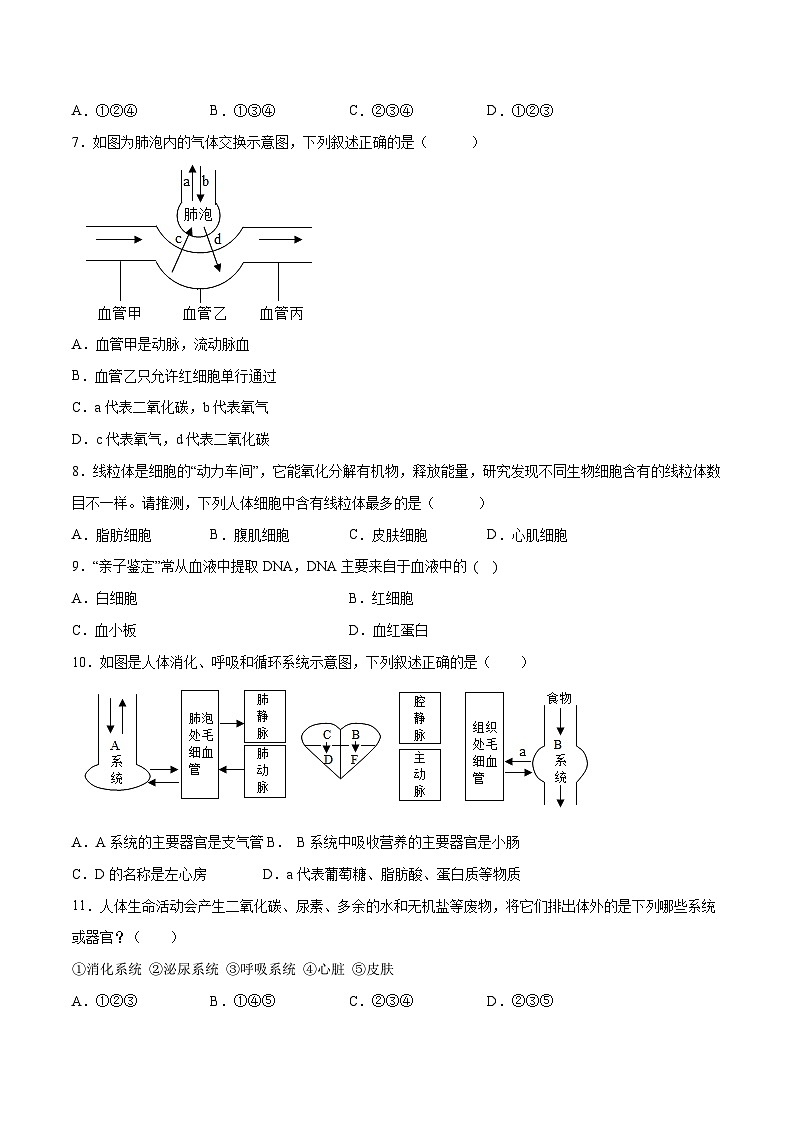 生物（全国通用）（考试版）第2页