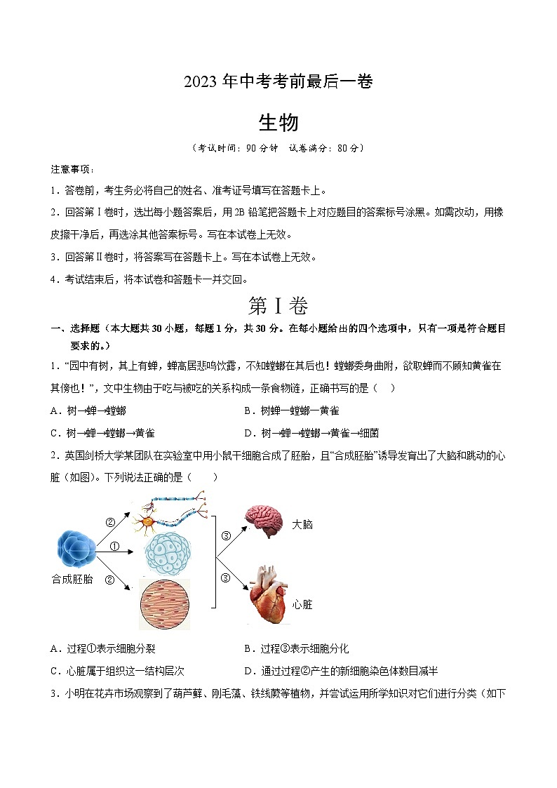 生物（青岛卷）-【试题猜想】2023年中考考前最后一卷（考试版）A4第1页