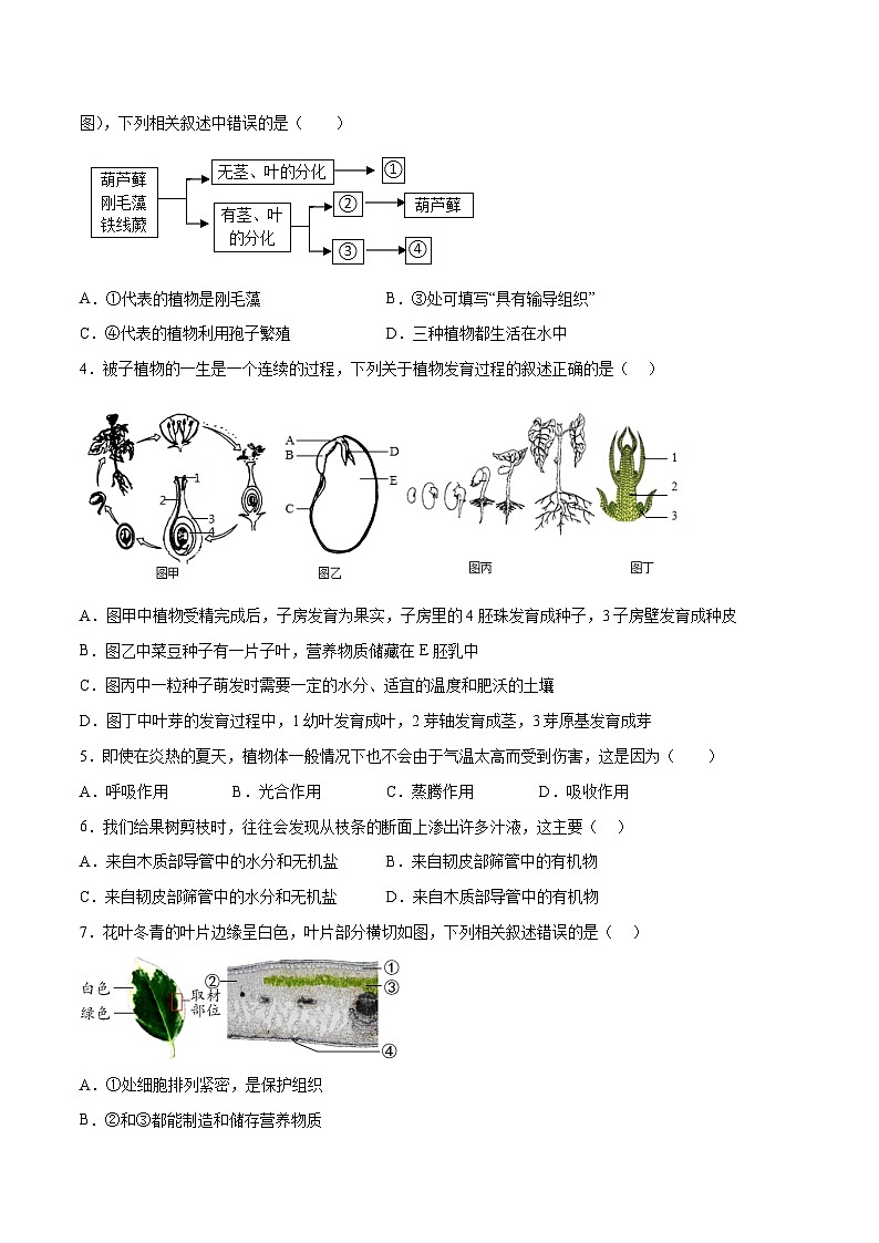 生物（青岛卷）-【试题猜想】2023年中考考前最后一卷（考试版）A4第2页