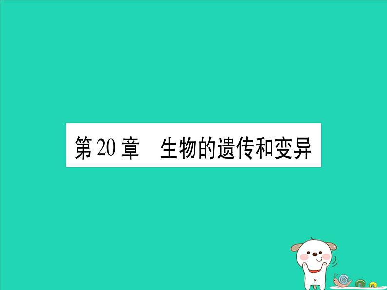 初中生物中考复习 中考生物总复习八上第6单元第20章生物的遗传和变异习题课件01