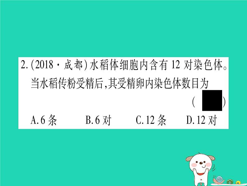 初中生物中考复习 中考生物总复习八上第6单元第20章生物的遗传和变异习题课件03