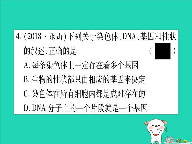 初中生物中考复习 中考生物总复习八上第6单元第20章生物的遗传和变异习题课件05