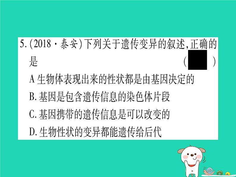 初中生物中考复习 中考生物总复习八上第6单元第20章生物的遗传和变异习题课件06