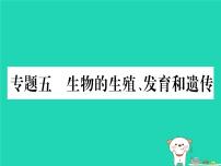 初中生物中考复习 中考生物总复习第二篇知能综合突破专题5生物的生殖发育和遗传课件