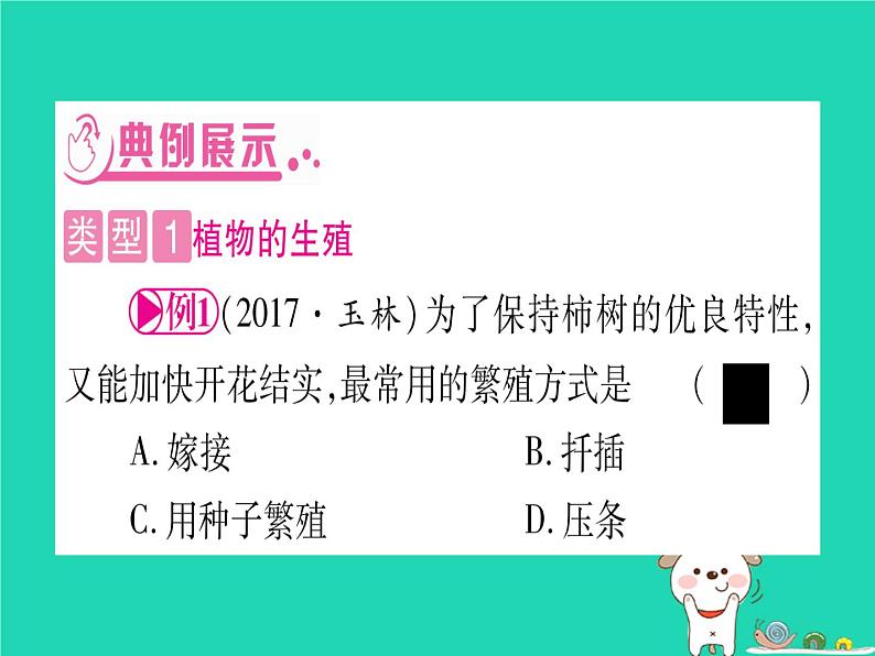 初中生物中考复习 中考生物总复习第二篇知能综合突破专题5生物的生殖发育和遗传课件第3页