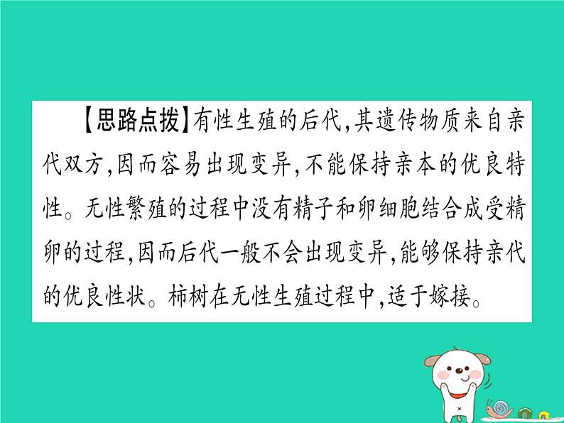 初中生物中考复习 中考生物总复习第二篇知能综合突破专题5生物的生殖发育和遗传课件第4页