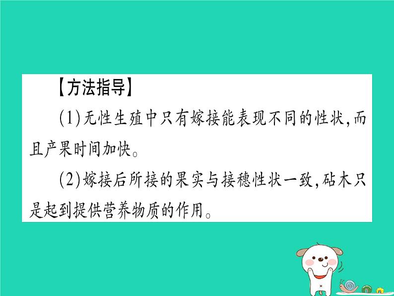 初中生物中考复习 中考生物总复习第二篇知能综合突破专题5生物的生殖发育和遗传课件第5页