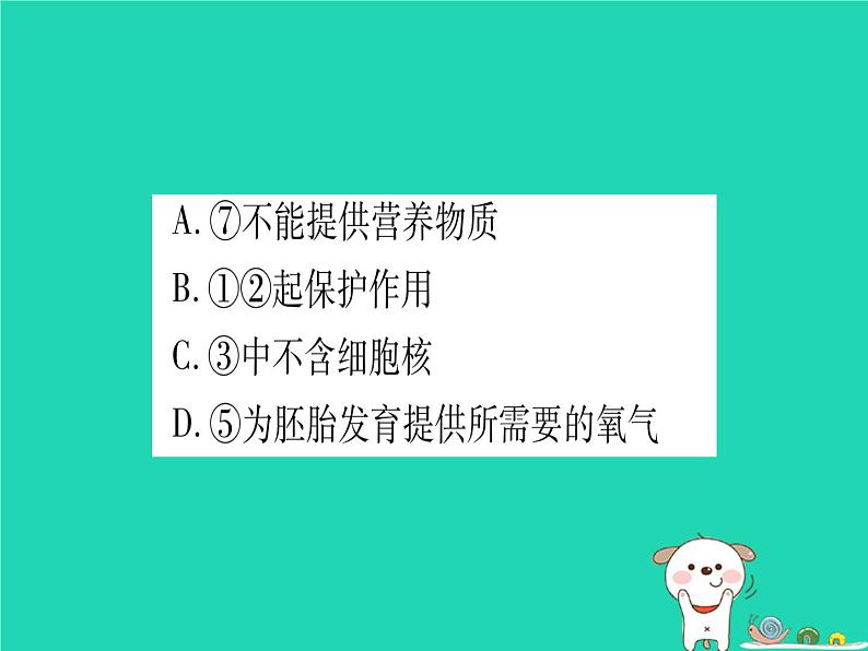 初中生物中考复习 中考生物总复习第二篇知能综合突破专题5生物的生殖发育和遗传课件第7页