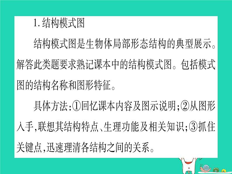 初中生物中考复习 中考生物总复习第3篇重要题型突破题型1识图题课件第3页