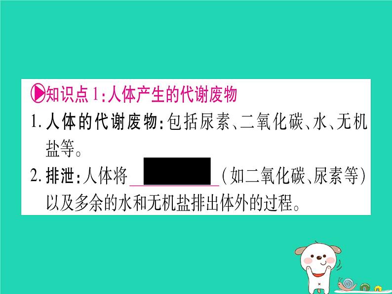 初中生物中考复习 中考生物总复习七下第4单元第11章人体代谢废物的排出课件02