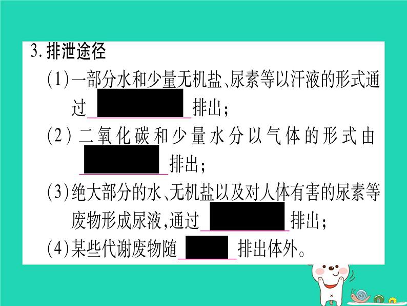 初中生物中考复习 中考生物总复习七下第4单元第11章人体代谢废物的排出课件03