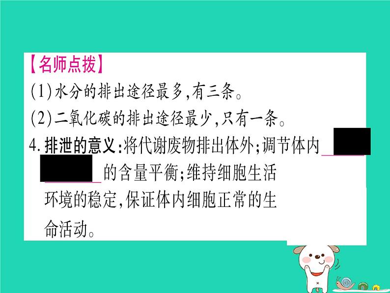 初中生物中考复习 中考生物总复习七下第4单元第11章人体代谢废物的排出课件04