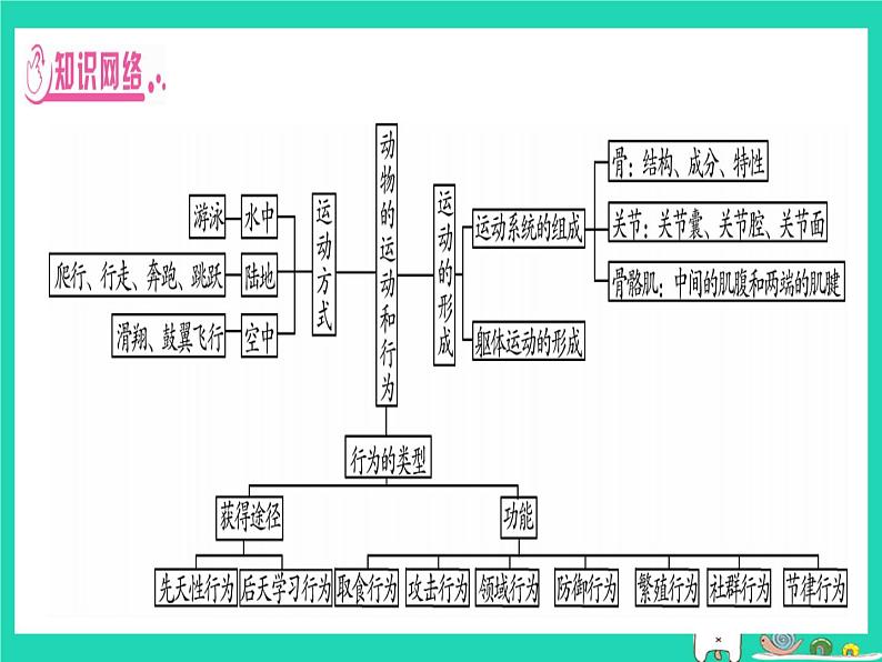 初中生物中考复习 中考生物总复习第二篇知能综合突破专题4动物的运动和行为课件02