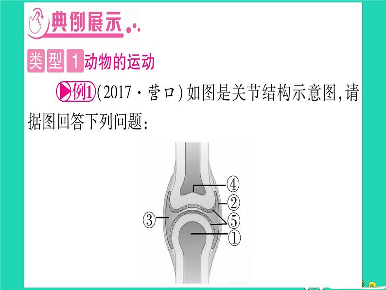 初中生物中考复习 中考生物总复习第二篇知能综合突破专题4动物的运动和行为课件03