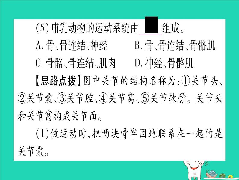 初中生物中考复习 中考生物总复习第二篇知能综合突破专题4动物的运动和行为课件05