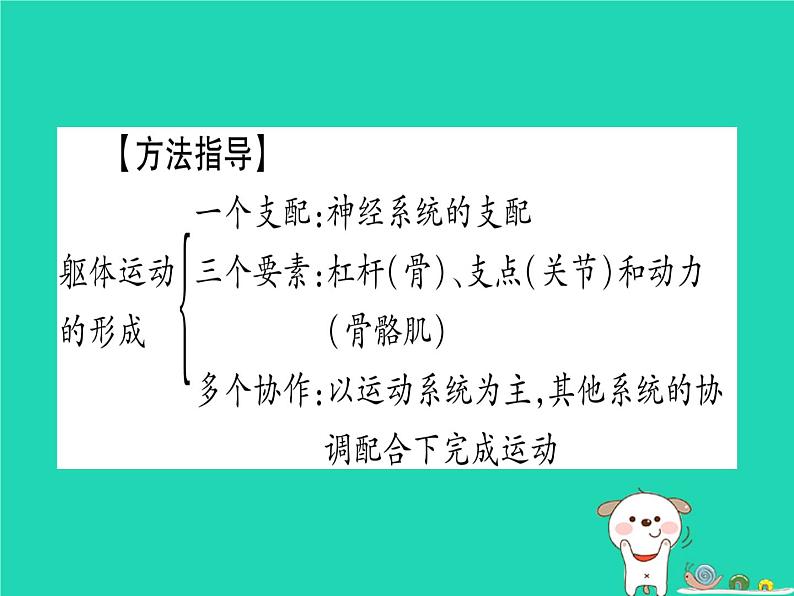 初中生物中考复习 中考生物总复习第二篇知能综合突破专题4动物的运动和行为课件07