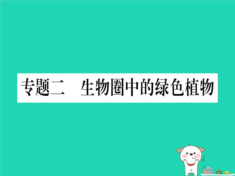 初中生物中考复习 中考生物总复习第二篇知能综合突破专题2生物圈中的绿色植物课件01