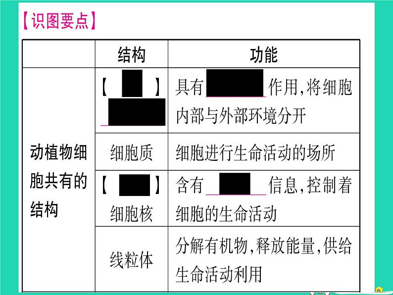 初中生物中考复习 中考生物总复习七上第2单元第3章细胞课件07