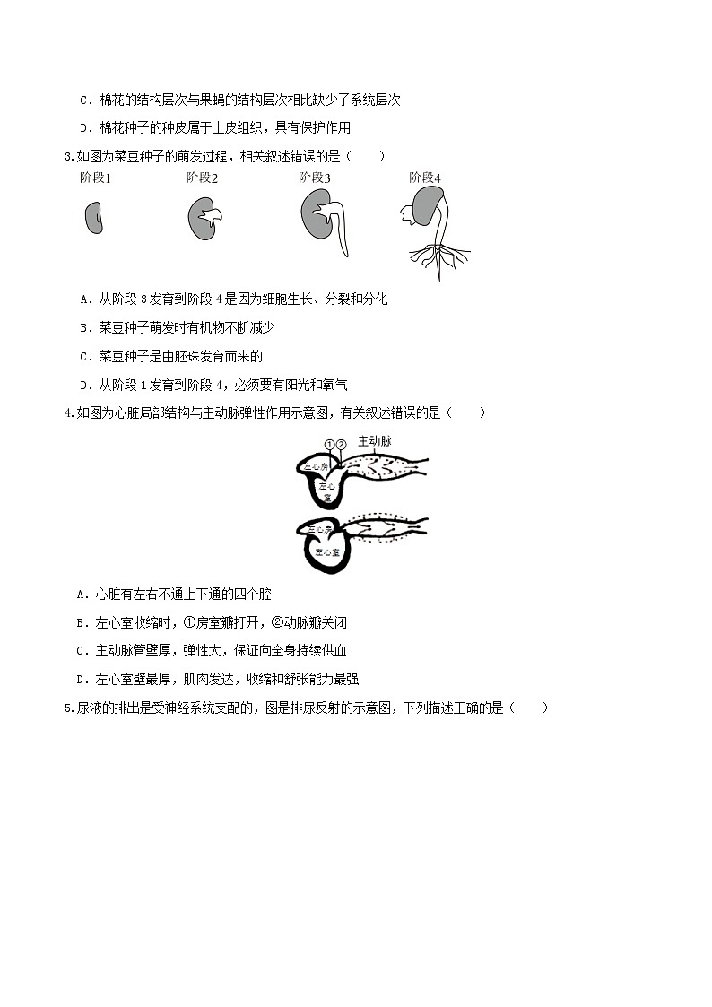 生物（内蒙古包头卷）（考试版）A4 第2页