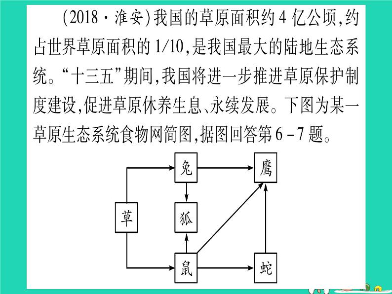 初中生物中考复习 中考生物总复习八下第8单元第23章生态系统及其稳定性第24章人与环境习题课件07