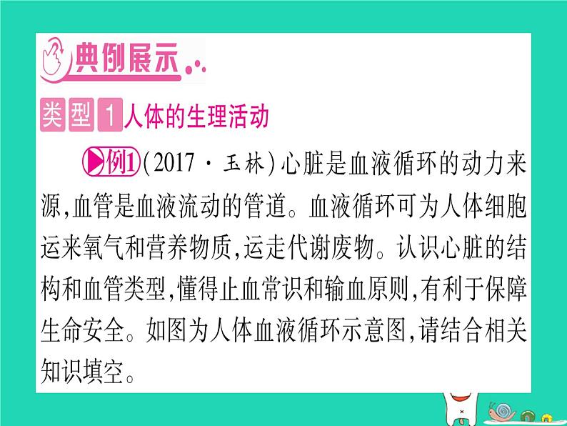 初中生物中考复习 中考生物总复习第二篇知能综合突破专题3生物圈中的人课件03